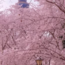 北京旅游 缩略图 11
