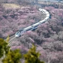 北京旅游 缩略图 3