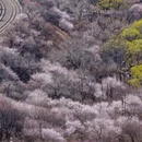 北京旅游 缩略图 5
