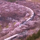 北京旅游 缩略图 1