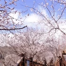 北京旅游 缩略图 2