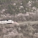 北京旅游 缩略图 6