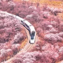 北京旅游 缩略图 3