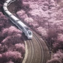 北京旅游 缩略图 4
