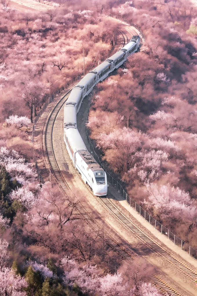 北京旅游