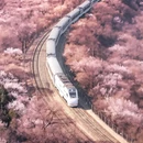 北京旅游 缩略图 1