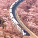 北京旅游 缩略图 2