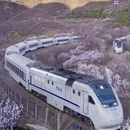 北京旅游 缩略图 3