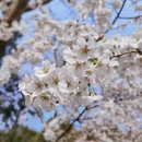 北京旅游 缩略图 3