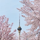 北京旅游 缩略图 1