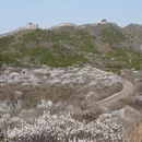 北京旅游 缩略图 4