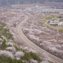 北京旅游 缩略图 2