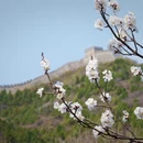北京旅游 缩略图 5