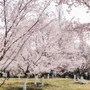 北京旅游 缩略图 4
