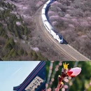 北京旅游 缩略图 1