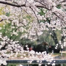 北京旅游 缩略图 8