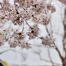 北京旅游 缩略图 5