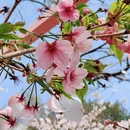 北京旅游 缩略图 7