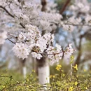 北京旅游 缩略图 6