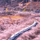 北京旅游 缩略图 3