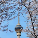 北京旅游 缩略图 2