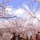 北京旅游 缩略图 5