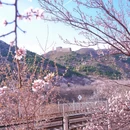 北京旅游 缩略图 7