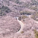 北京旅游 缩略图 7
