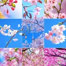 北京旅游 缩略图 1