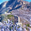 北京旅游 缩略图 3