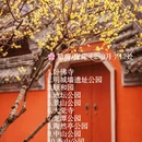 北京旅游 缩略图 2