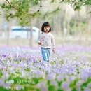 北京旅游 缩略图 9
