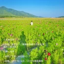 北京旅游 缩略图 17