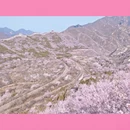 北京旅游 缩略图 5