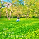 北京旅游 缩略图 16