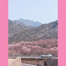 北京旅游 缩略图 8