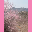 北京旅游 缩略图 7