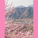 北京旅游 缩略图 3