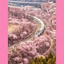 北京旅游 缩略图 2
