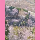 北京旅游 缩略图 4
