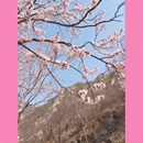 北京旅游 缩略图 6