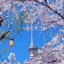 北京旅游 缩略图 18