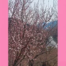 北京旅游 缩略图 10