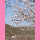 北京旅游 缩略图 9