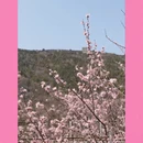 北京旅游 缩略图 13
