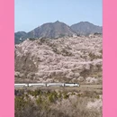 北京旅游 缩略图 14