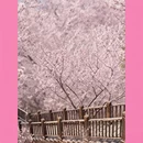 北京旅游 缩略图 11