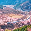 北京旅游 缩略图 3