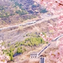 北京旅游 缩略图 4