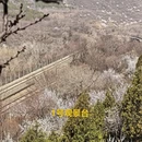 北京旅游 缩略图 2